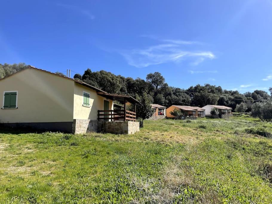 Maison Au Calme Avec Piscine Et Climatisation Sollacaro Exterior foto